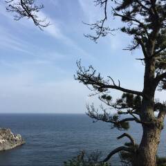 济州岛