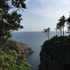 济州岛
