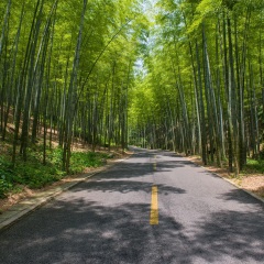 宜兴竹海
