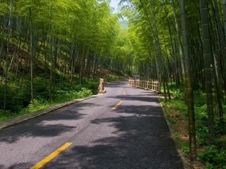 宜兴竹海风景区