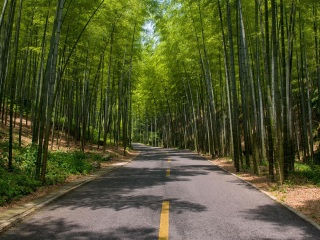 宜兴竹海风景区