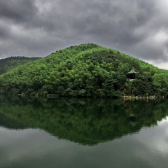 宜兴竹海