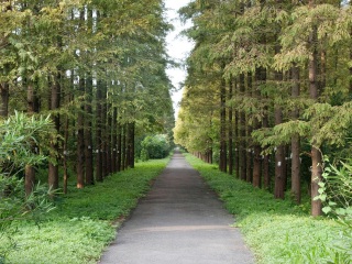 东平国家森林公园