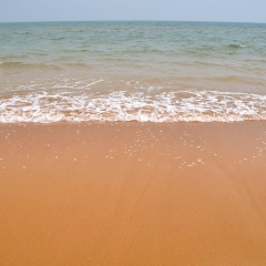 海滨森林公园