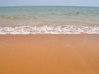 日照海滨国家森林公园