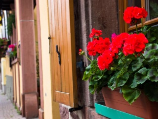 布里孔特罗贝尔