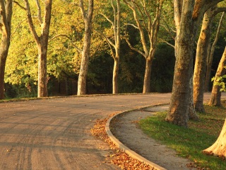 加龙河畔波尔泰