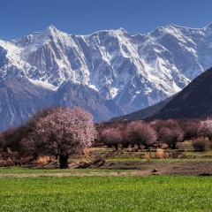 景点模块 