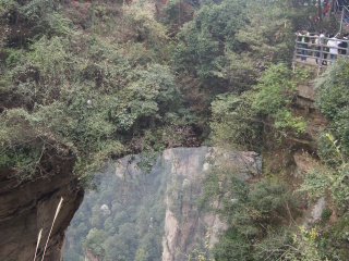 张家界森林公园