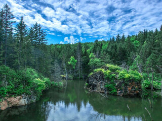 茅兰沟森林公园