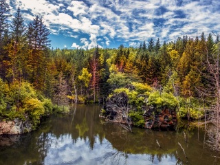 茅兰沟森林公园