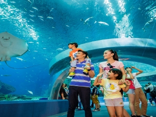 珠海长隆国际海洋度假区