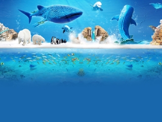 珠海长隆国际海洋度假区