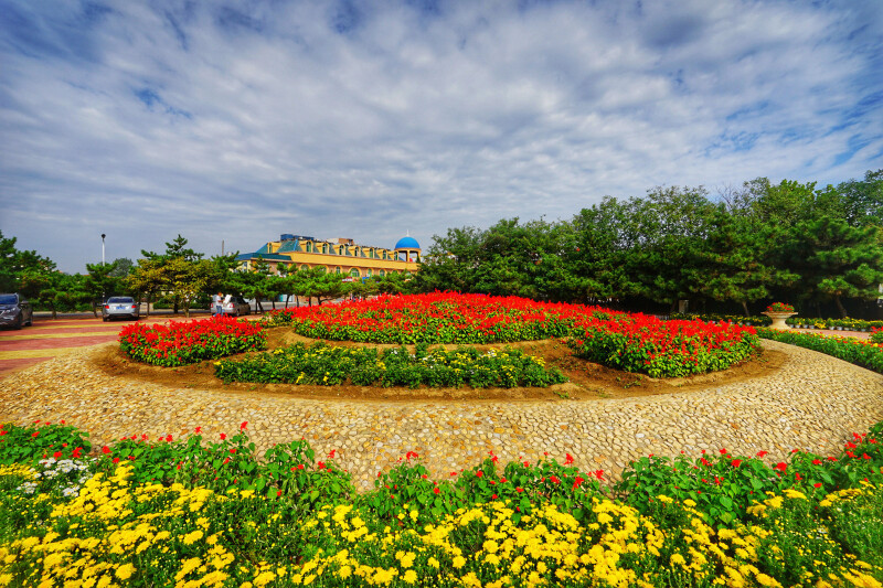   日照海滨国家森林公园