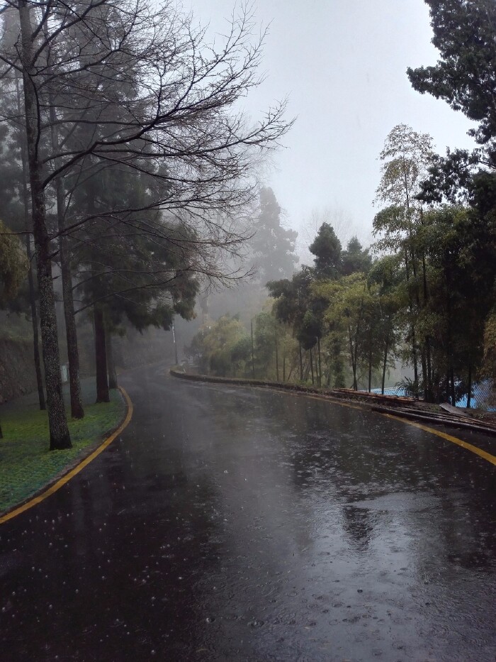 我们在蒙蒙细雨中出发前往莫干山,没想到,当车开过盘山公路到达山顶后