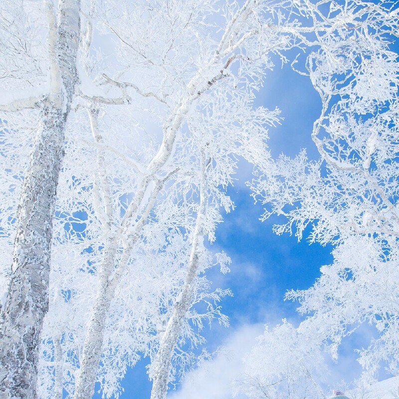 冰雾的奇景,可惜错过了(图片摘自官网)