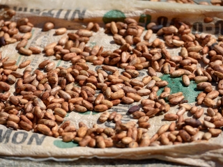 德源可可博物馆