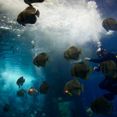 水族馆