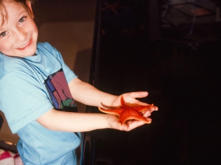 尼亚加拉水族馆