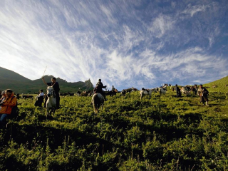 合作市当周草原风景区