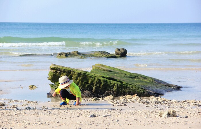 小朋友认真的在捡贝壳