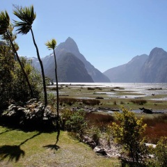 米佛峡湾