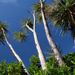 米佛峡湾