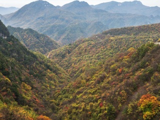 神农架天燕原始生态旅游区