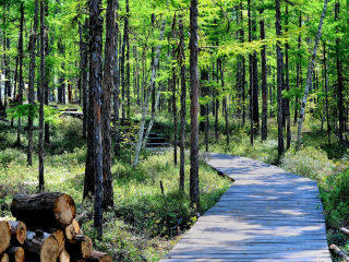 三元国家森林公园