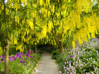 温哥华范度森植物园