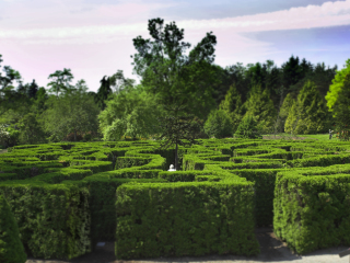 温哥华范度森植物园