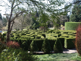 温哥华范度森植物园