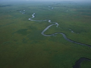 钏路湿原国立公园