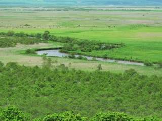 钏路湿原国立公园