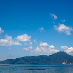 大亚湾4