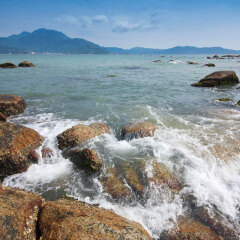 大亚湾2