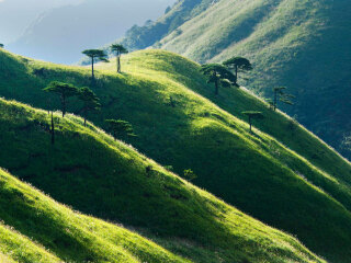 武功山森林公园