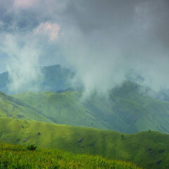 武功山森林公园3