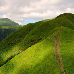 武功山森林公园1