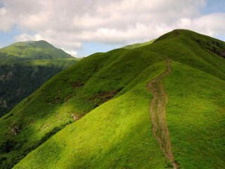 武功山森林公园