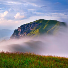 武功山森林公园5
