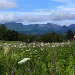长白山西景区2