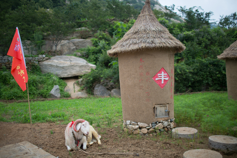 蒙山高沂水长沂蒙山区好地方