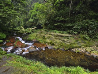 张家界大峡谷