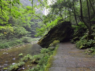 张家界大峡谷