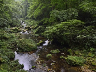 张家界大峡谷