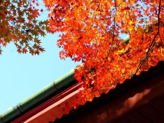 九江庐山老别墅