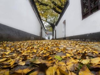 镇江焦山风景区