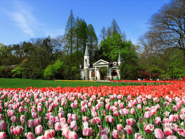 上海周边旅游景点推荐_上海周边景美人少的景