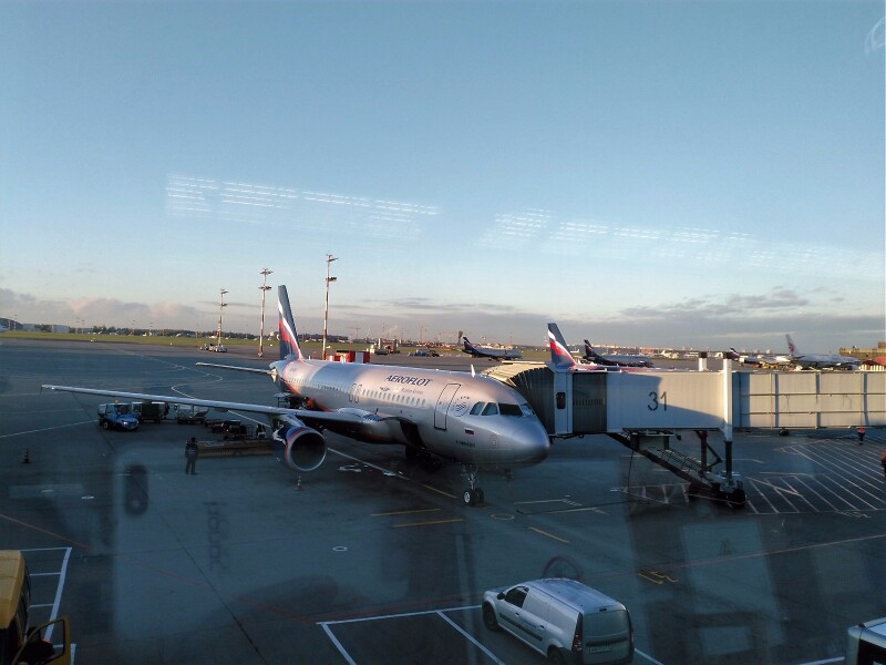 svo机场飞往法兰克福的航班